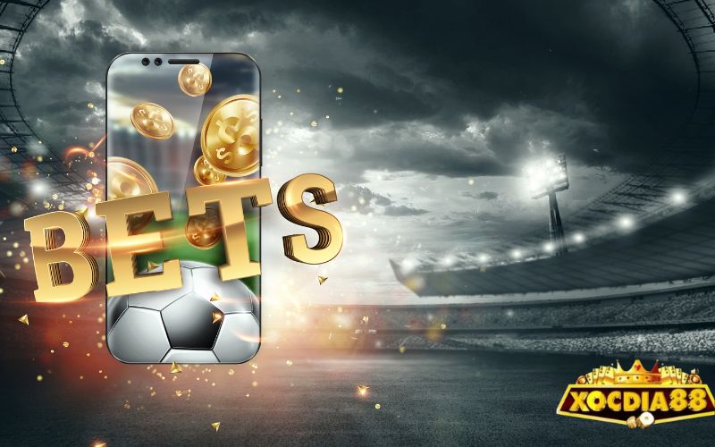 Thuật ngữ cá độ bóng đá theo kèo nhà cái Châu Âu